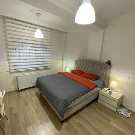 Charming Flat With Garden Working Space Eyup2 * イスタンブール