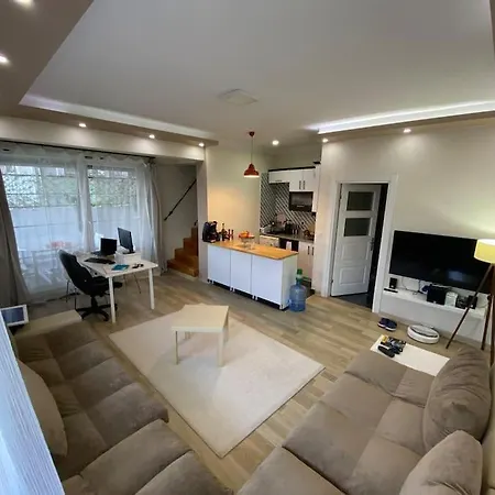 アパート Charming Flat With Garden Working Space Eyup2 *
